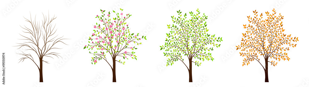 Four seasons of tree vector Stock Vector | Adobe Stock