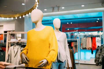 Wall Mural - Mannequins Dressed In Female Woman Casual Clothes In Store Of Shopping