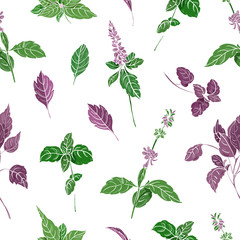 Aufkleber - Seamless pattern with green an purple basil leaves and inflorescences hand drawn on white background. Backdrop with plant cultivated for culinary use. Beautiful vector illustration for fabric print.
