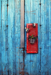 Sticker - flower pots on red wooden shutter on an grange blue wall background