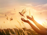 Fototapeta  - Woman praying and free the birds to*) nature on sunset background, hope concept