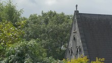 Trees And A Church Rooftop