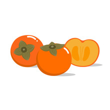 Persimmon Isolated Vector. Basic RGB