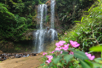 Dambri waterfall - in Lam Dong Vietnam