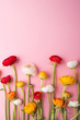 Leinwandbild Motiv Colorful flowers on a pink background.