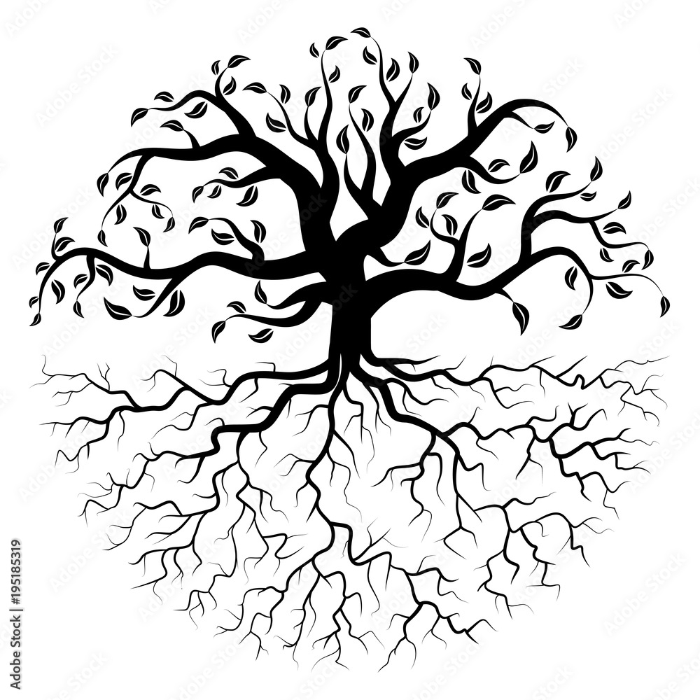 Large tree with roots in circular shape Stock Vector | Adobe Stock