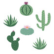 green house plants cactus peyote haworthia aloe sansevieria icon set vector