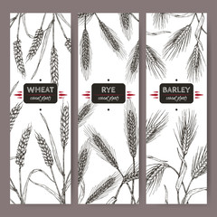 Sticker - Set of three labels with bread wheat, rye and barley sketch. Cereal plants collection.