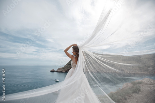 Cuadros en Lienzo Beautiful bride stands on a cliff above the sea in a glamorous white wedding dress view of veil