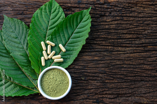 Fotografia Mitragyna speciosa or kratom leaves with medicinal products in capsules and powd