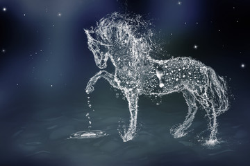 The Water Horse