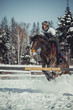 © Julia Shepeleva - Winter jump horse ride jumping