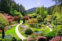 Butchart Gardens, Victoria, Canada. View Over The Colorful Flowers Of The Sunken Garden At Springtime.