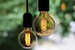 Two edison lamps on green background, retro bulb