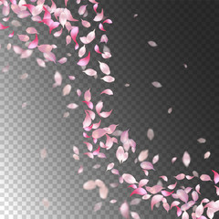 Sticker - Petals Flying Background