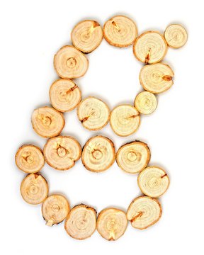 Alphabet letters made from Wood slice on white Background.g