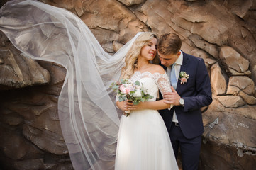 Wall Mural - Portrait of a bridegroom embracing a lovely blonde bride