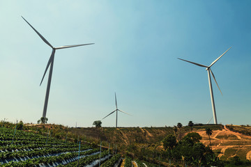 Wall Mural - concept idea eco power energy. wind turbine on hill with sunset