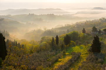  Typical Tuscan landscape