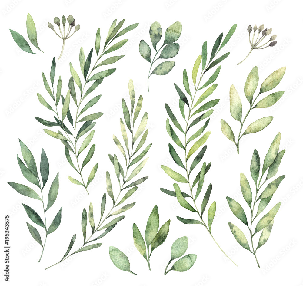 Hand drawn watercolor illustrations. Botanical clipart. Set of Green leaves, herbs and branches. Floral Design elements. Perfect for wedding invitations, greeting cards, blogs, posters and more - obrazy, fototapety, plakaty 