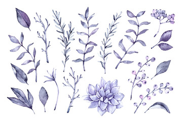 Wall Mural - Hand drawn watercolor illustrations. Botanical clipart. Set of violet leaves, herbs and branches. Floral Design elements. Perfect for wedding invitations, greeting cards, blogs, posters and more