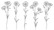 Vector set with outline Cornflower or Knapweed or Centaurea flowers bunch, bud and leaf in black isolated on white background. Ornate Cornflower in contour style for summer design and coloring book. 