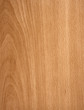 Textura de madera de alta calidad color haya