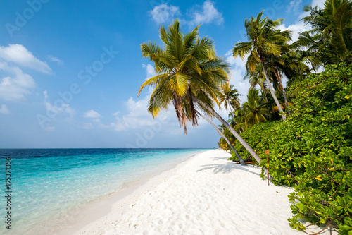Plage Des Maldives île De Filitheyo Acheter Cette Photo
