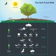 The Soil Food Web diagram. Illustration info graphic.