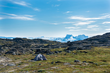 Wall Mural - hiking near icebergs. tent in greenland