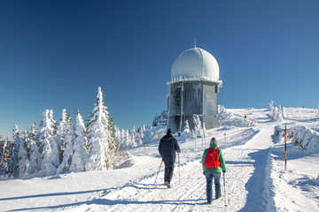 Fototapete - Winterwanderer am Grossen Arber im Bayerischen Wald
