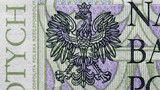 Close up on national emblem eagle of new Polish banknotes hundred zloty