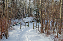 A Well Used Walking Trail In Winter