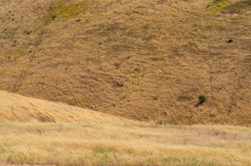 Yellow dry grass on hill face background