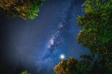 Wall Mural - landscape with milky way galaxy. night sky with stars and silhouette trees. long exposure photograph