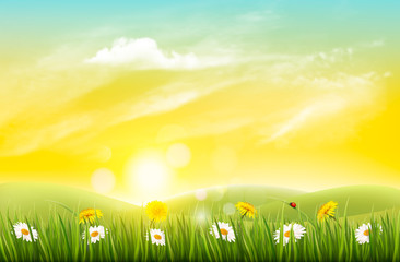 Poster - Spring nature background with grass and flowers. Vector.