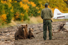 Park Ranger Trying To Scare Away Mama-bear With Her Cubs.