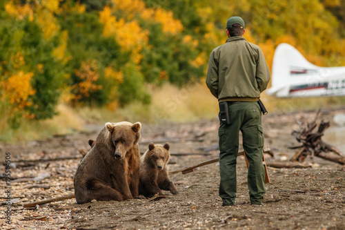 Cuadros en Lienzo Park ranger trying to scare away mama-bear with her cubs.