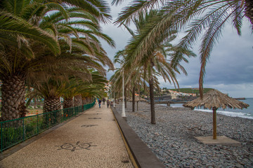 Stone path along the ocean near a rocky beach with umbrellas and palm trees on Madeira island, Portugal