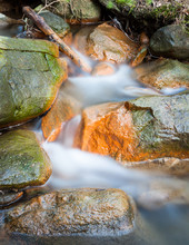 Small Stream And Rocks At Spring Forest