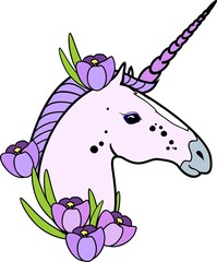 Poster - Head of pink unicorn with purple mane and crocus flowers on white background