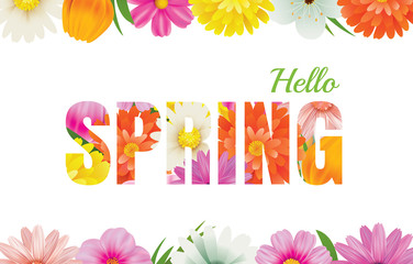 Wall Mural - hello spring flowers design in text background.