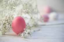 Pink Easter Egg And Gypsophila (baby Breath Flower) On White Painted Rustic Wood With Copy Space