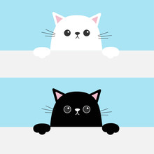 Black White Funny Cat Head Face Hanging On Paper Board Template. Kitten Body With Paw Print. Cute Cartoon Character Set. Kawaii Animal. Baby Card. Pet Collection. Flat Design. Blue Background Isolated