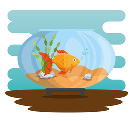 bowl aquarium with fish