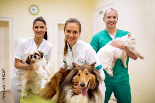 Fototapeta na szkło Team of veterinarian with animals at success pet ambulance