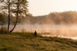 © Halina - Morning fishing.  Fisherman fishing at lake. Foggy morning.