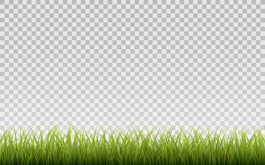 Green Grass Border, Isolated on Transparent Background, With Gradient Mesh