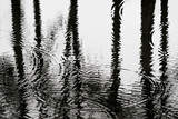 Fototapeta Kwiaty - Hintergrund Textur Wasser abstrakt Spiegelung mit Linien und Kreisen