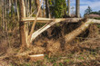 Sturmschaden Windbruch Waldrand mit umgeknickten Bäumen - Storm damage Wind breakage Forest edge with turned trees